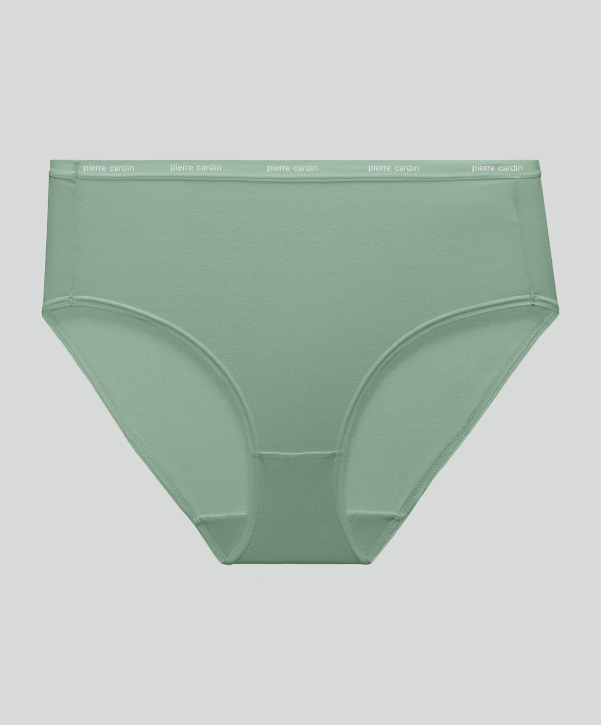5PC Pack Quiet Luxe High-Waist Panty 505-7484