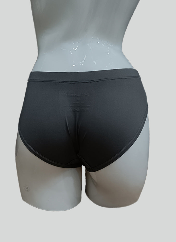 Energized Retro Quaint Panty 501-1004C